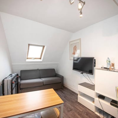 Furnished Studio Apartment for Long-Term Rent in Central Paris with Notre-Dame View